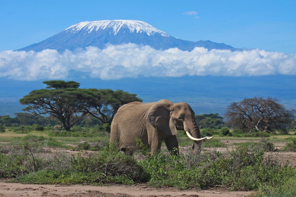 mt-kili